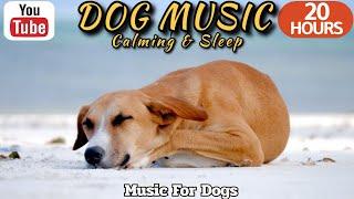 20 HOURS of Dog Calming MusicAnti Separation Anxiety ReliefMusic for stressed dogs⭐Hea