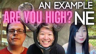 ARE YOU HIGH or is it just Ne? | Extraverted Intuition Cognitive Function | INFP & ENFP Enneagram 9