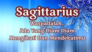 Sagittarius‍️Waspadalah Ada Yang Diam Diam Mengikuti Dan Mendekati Kamu