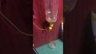 DIY Arduino Automatic Cat Feeder with Power Bank