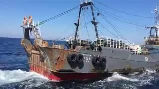 KAPAL TRAWL JAPAN (HAMADA)