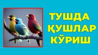 Туш табири - Тушда Кушлар куриш