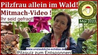 Pilzfrau allein im Wald -Quiz & Mitmach video! Ihr seid gefragt! Was macht der Hauswald?