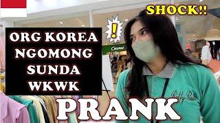 PURA PURA TIDAK BISA BAHASA INDONESIA, ORANG KOREA INI BIKIN CEWE SUNDA YANG GEULIS SHOCK! WKWK