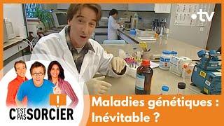 Maladies génétiques : Inévitable ? - C'est pas sorcier [Intégrale]