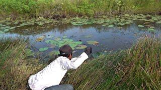 Gilak si Umpan pemancing baru turun airnya langsung mendidih #SG-385