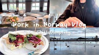 Work vlog | Norwegian medical system | Go to client’s office | Dinner with colleagues | Make taco 