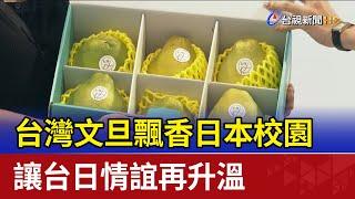 台灣文旦飄香日本校園 讓台日情誼再升溫