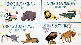 Types of Animals - Herbivores Carnivores Omnivores and Scavengers |  Eating habits of Animals