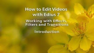 How to Work with Effects, Filters and Transitions in Edius 7