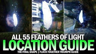 All 55 Feathers of Light in The Pale Heart - Complete Guide (Flock Together Triumph) [Destiny 2]