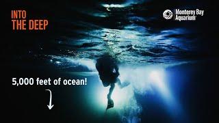 The Greatest Animal Migration On Earth Happens Every Night In The Ocean! | Into The Deep