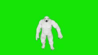 polar bear jumpy green screen