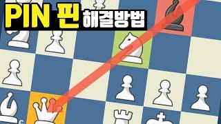 Bg4 비숍 핀을 푸는 4가지 방법(체스 기초강의)