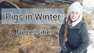 Four things You need to Over Winter Pigs  #homeandhavenfarms #pigs #overwinter