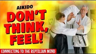 AIKIDO | DON'T THINK, FEEL! Connecting to the "reptilian mind".