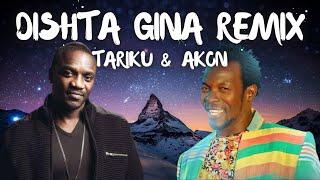 Dishta Gina (Remix) lyrics - Tariku & Akon