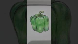 Realistic drawing of capsicum #art #shorts