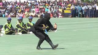 Zim Ninja Wilfred Mashaya (3)