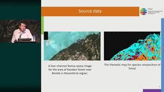 Forest space image decoding using the structural-statistical approach.