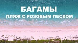 БАГАМЫ. ПЛЯЖ С РОЗОВЫМ ПЕСКОМ