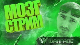 Добрый вечер)_ Отпускные стримы)_  #Warface #Farlight 84 #МозГ