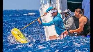 Marlin fishing with Mahi and Wahoo in Anguilla - Peter Miller Uncharted Waters