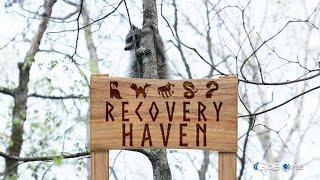 Recovery Haven | Georgia Outdoors