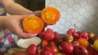 презентация супер-урожайных и вкусных сортов томатов .Районированны  под северные районы .