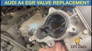 Audi A4 egr valve replacement P0403 P0408 (2.0 tdi B7)