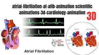 atrial fibrillation-af afib animation | scientific animations 3d | cardiology animation | 3d video