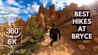 The Best Hikes at Bryce National Park | Entire Navajo Loop, Peekaboo Loop and Queen's Garden Trail