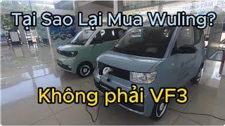 Tại sao tôi mua Wuling chứ không mua VF3 như lời khuyên của cư dân mạng?