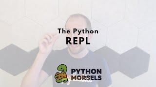 Using the Python REPL