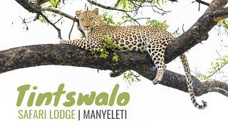 Tintswalo Safari Lodge in the Manyeleti Game Reserve, South Africa
