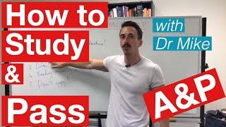 How to study and pass Anatomy & Physiology!