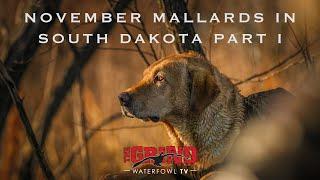 November Mallards in South Dakota Part I | The Grind S10:E5