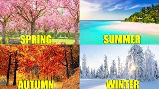 SEASONS OF THE YEAR for Kids | Learn Spring, Summer, Autumn, and Winter