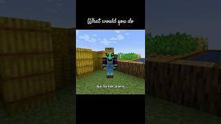 What would you do? @bergiebass8716  #minecraft #gaming