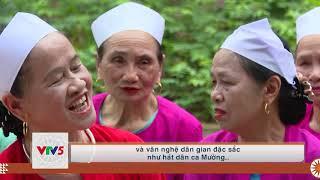 [TIẾNG CƠ HO] ĐẮM SAY ĐIỆU MÚA CÂU HÁT MƯỜNG VANG | VTV5