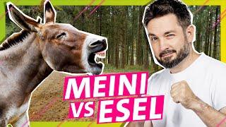 Zuckersüß, aber mega stur: Meini vs. Esel || Das schaffst du nie!