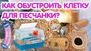 Как обустроить клетку для песчанки? Аксессуары для песчанок