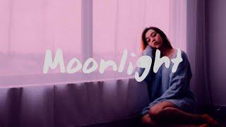 Teqkoi & LokeI - Moonlight (Lyrics)