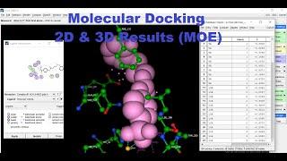 Molecular Docking Results (MOE) - 2D & 3D poses