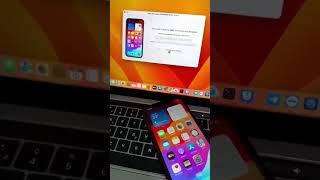 Minacriss Activator A12+ Tool - Bypass Premium iOS 17