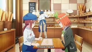 Miku's cooking in the shop | The Quintessential Quintuplets ∬