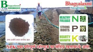 BHAGYALAXMI FARM YARD MANURE, MANCHAR || भाग्यलक्ष्मीचे सेंद्रिय खत, मंचर