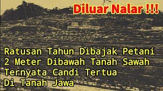 Diluar Nalar !! Dibawah Tanah Sawah Bertahun Dicangkul Ternyata Candi Tertua Di Jawa