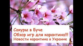 Влог Сакуры в Буче, Обзор детских игр для карантина, Новости о карантине в Украине