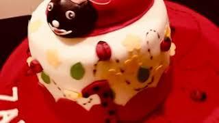 Lady bug cake